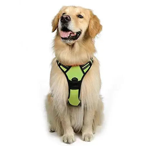Dog reflective harness, chest strap with leash