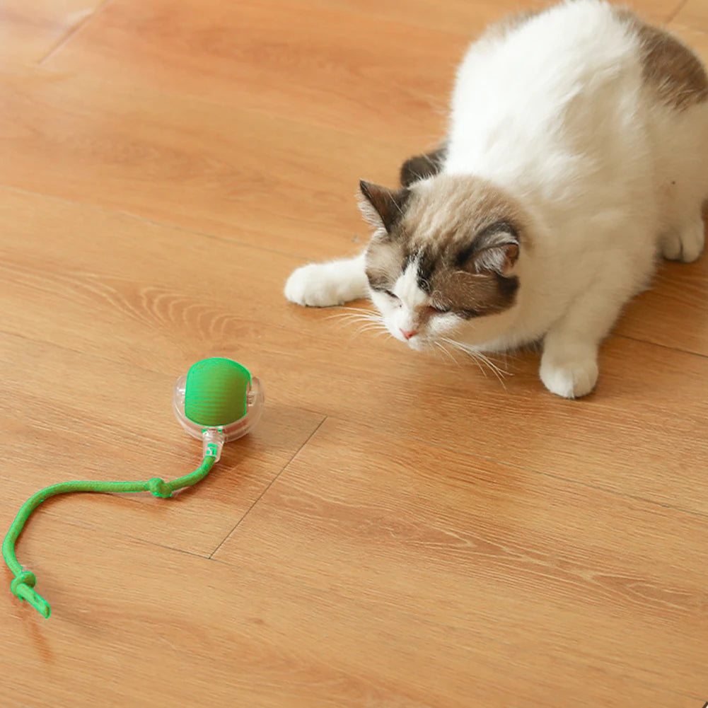 Cat Interactive Ball Toys Automatic Rolling Ball Rechargeable Self Rotating