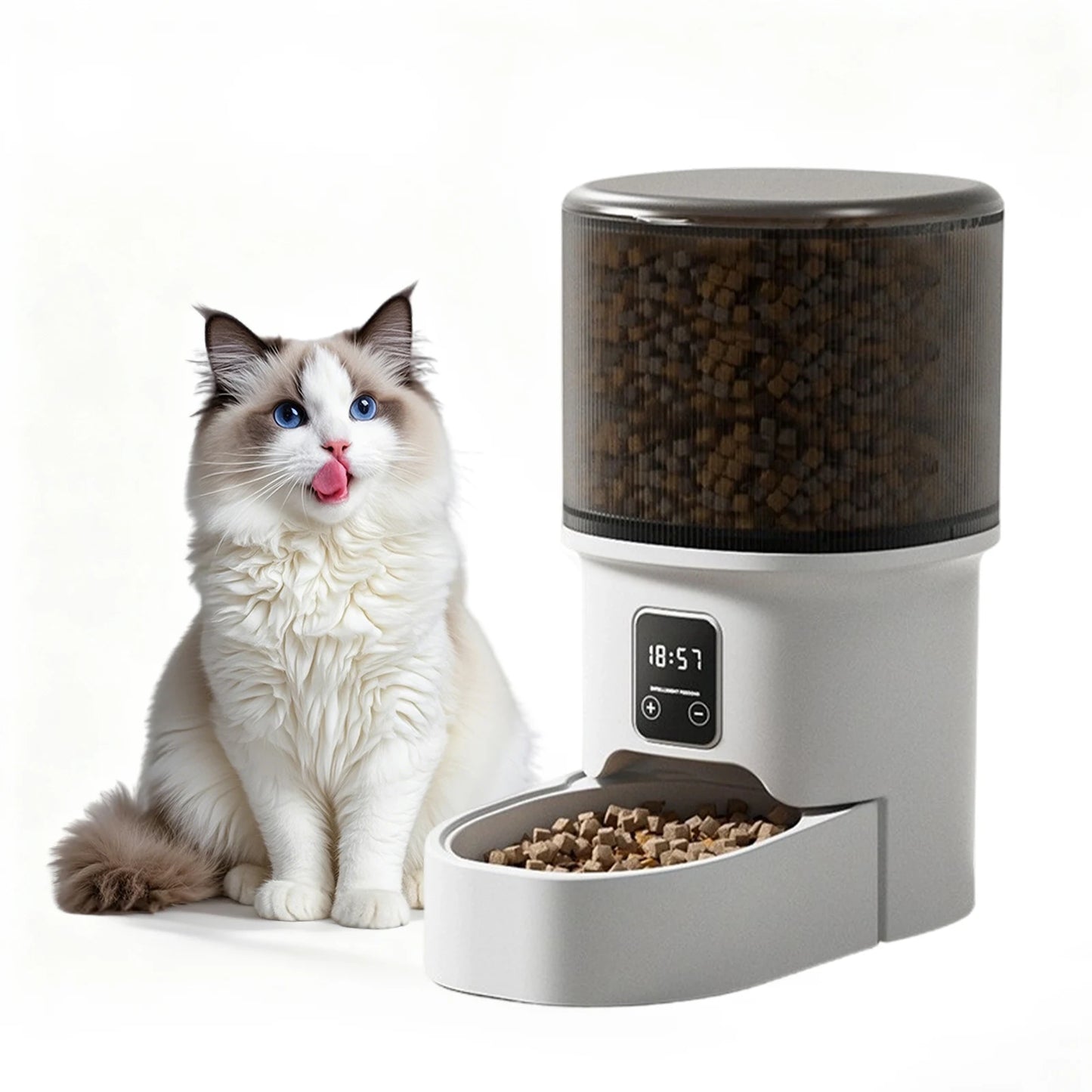 Programmable 4L Automatic Pet Feeder for Small Dogs & Cats, Up to 6 Meals Daily, Timer/Portion Control