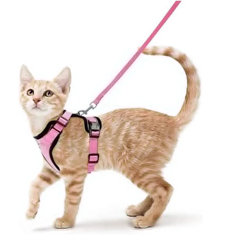 Escape Proof Cat Harness and Leash Set, Soft Adjustable Vest for Walking