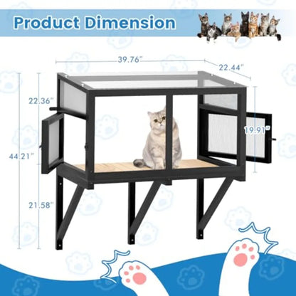 Cat Window Box