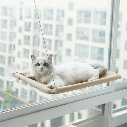 Cat Window Hammock, suction cups