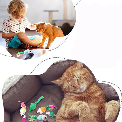 Cat Toy Bundles!