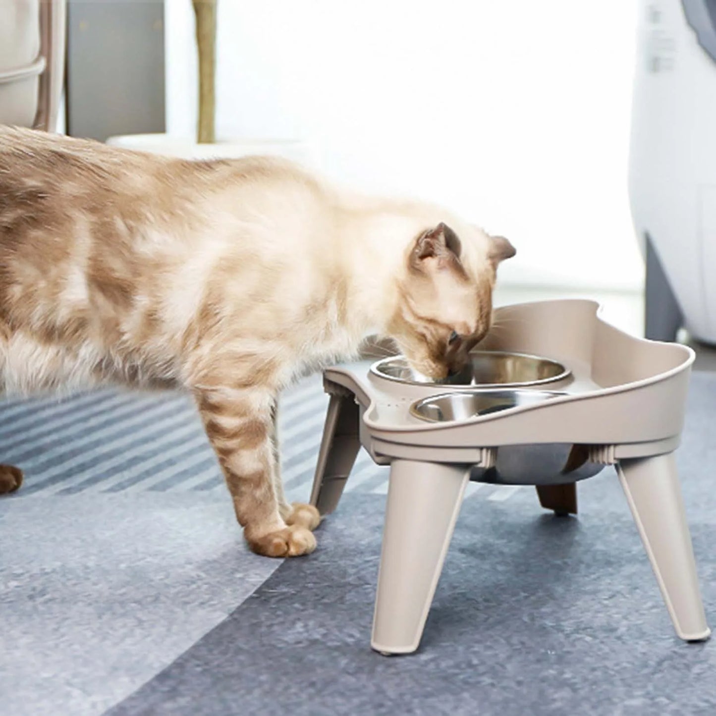 Raised Stand Elevated Dog Feeder Non-Slip and No Spill Design, Suitable for Improve Posture and Comfort
