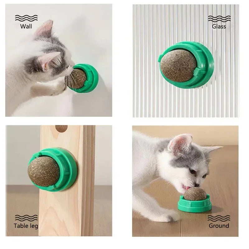 The Catnip Cat Wall Stick-on Ball