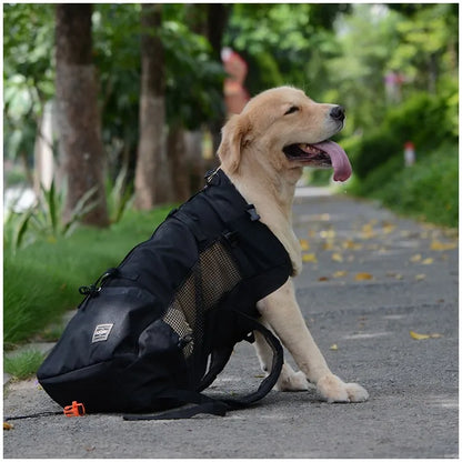 Outdoor Ventilated Pet Dog Carrier Backpack, Breathable Travel Bag for Hiking, Biking & Motorcycle