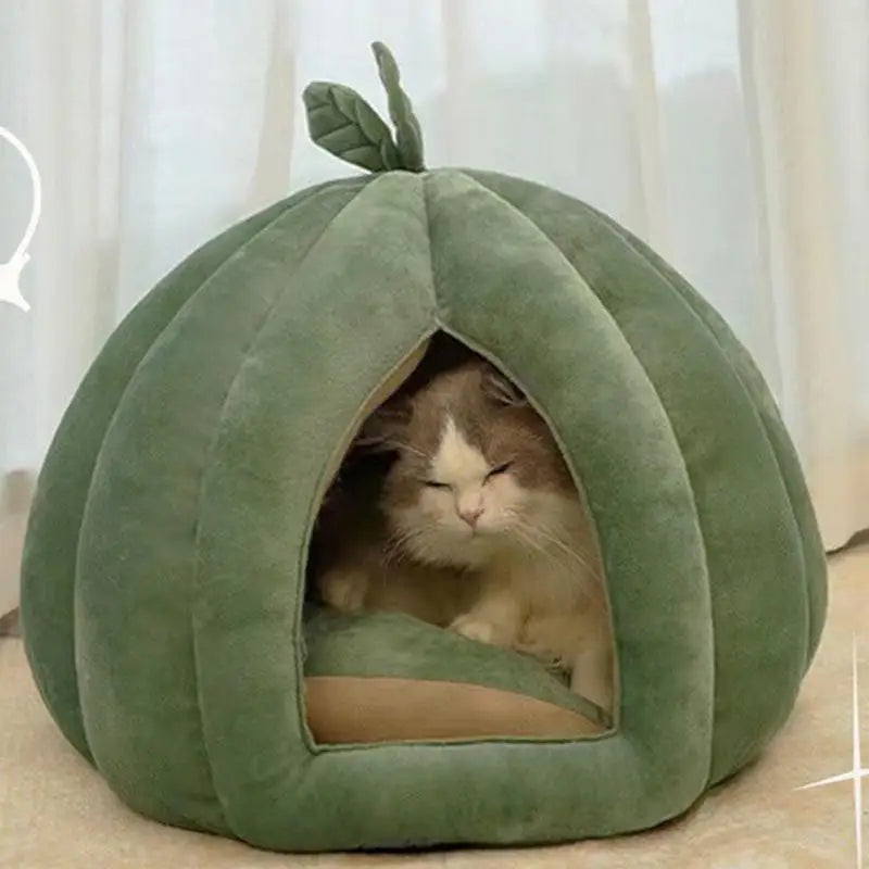 Pumpkin Pet Hideaway 2 Sizes