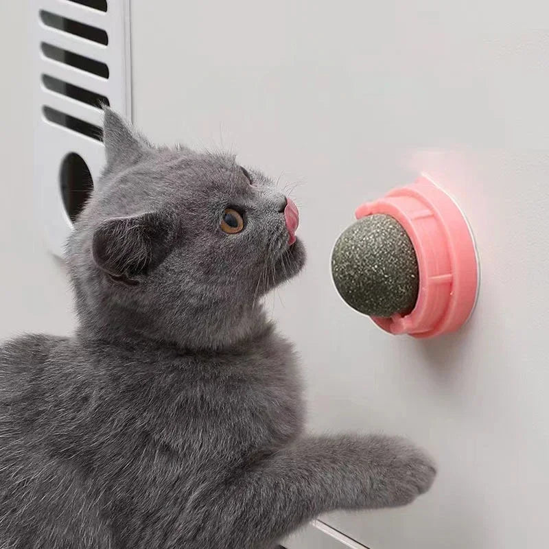 The Catnip Cat Wall Stick-on Ball