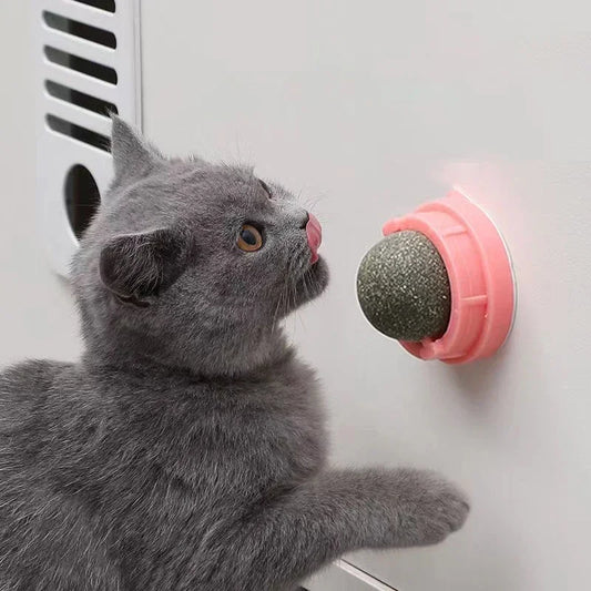 The Catnip Cat Wall Stick-on Ball
