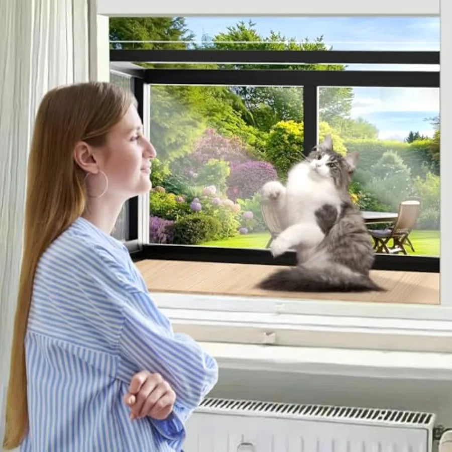 Cat Window Box