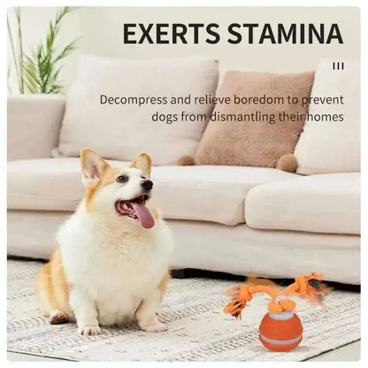 Ball With Motion Activated Automatic Moving Squeaky Toy Ball