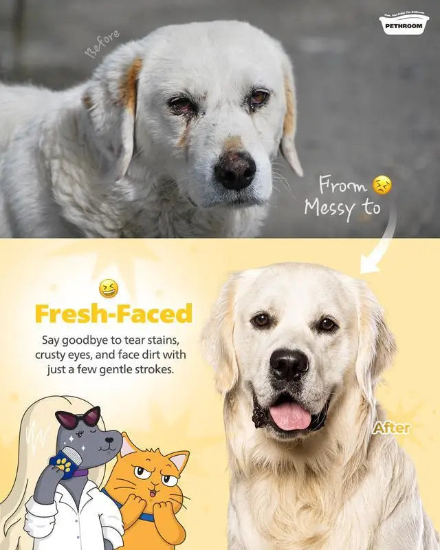 Cat and Dog Face Comb, Tear Stain, Black Chin, Gentle Grooming