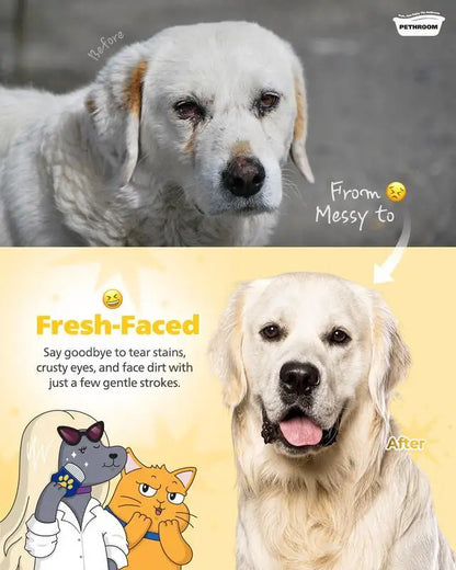 Cat and Dog Face Comb, Tear Stain, Black Chin, Gentle Grooming