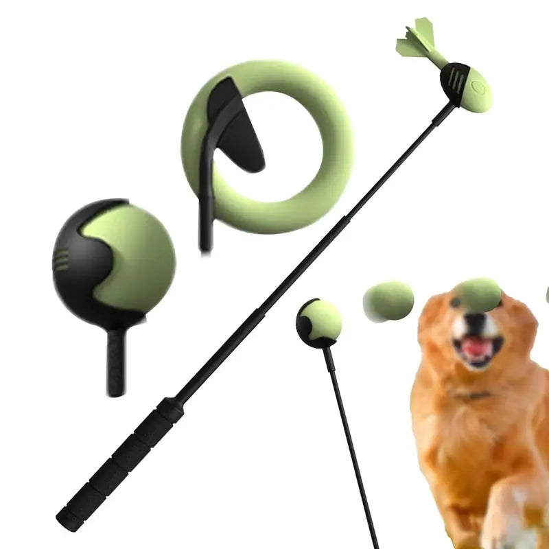 Throwing Pole