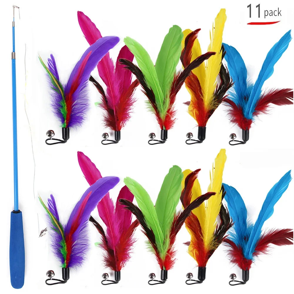 Cat Toy Bundles!