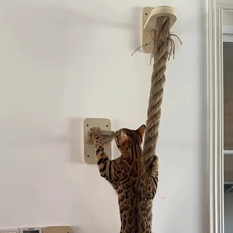 Climbing Rope with Perch 2 x 59.1 Inch Climbing Rope, Wall Mounted