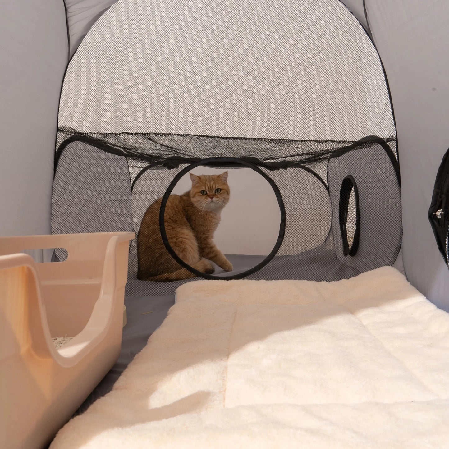 Square Gray Cat Delivery Room Hard Oxford Cloth with a Play Tunnel Foldable