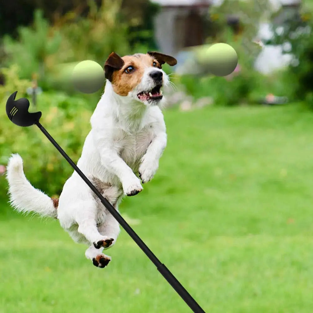 Throwing Pole