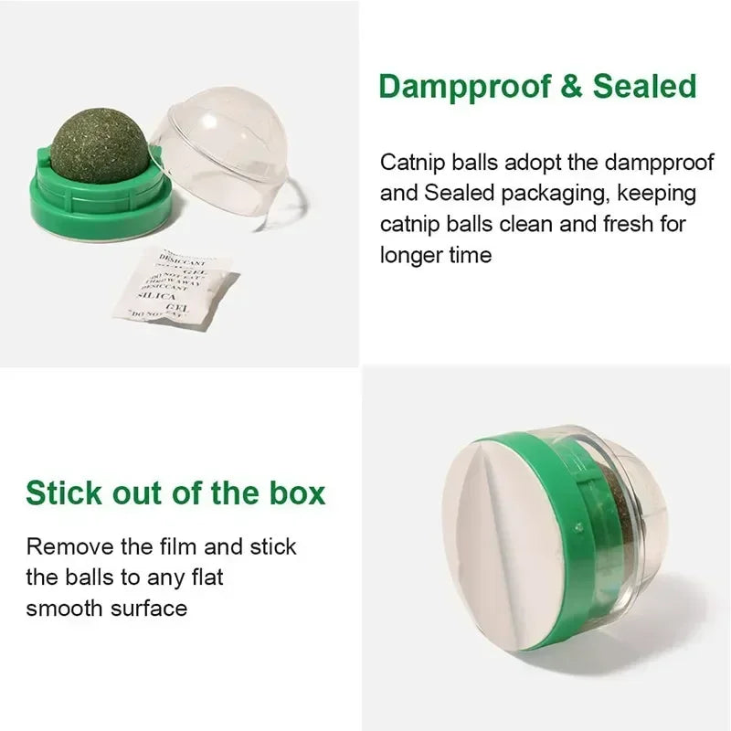 The Catnip Cat Wall Stick-on Ball