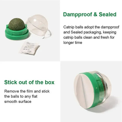 The Catnip Cat Wall Stick-on Ball