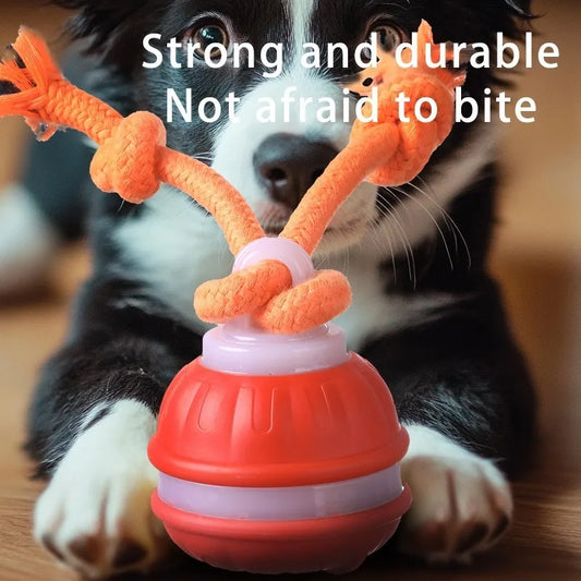 Ball With Motion Activated Automatic Moving Squeaky Toy Ball