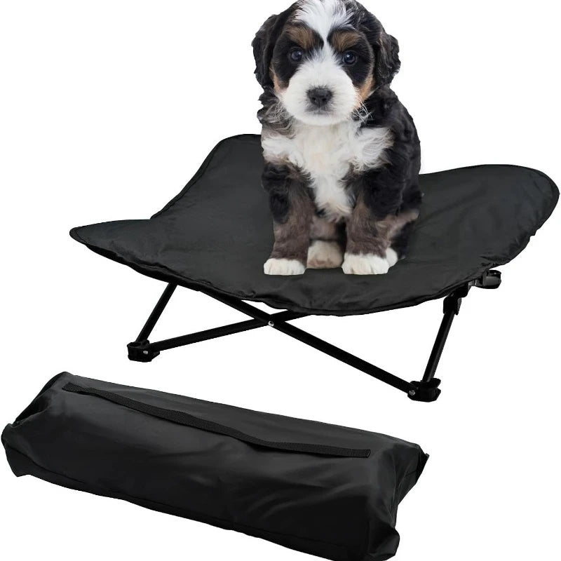 Elevated Dog Portable Cot, Folding, Padded comes with a Carrying Bag Included