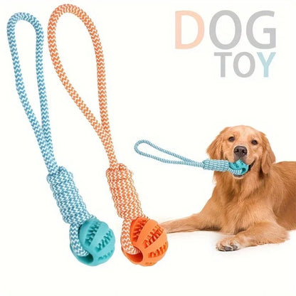 Dog Treat Ball