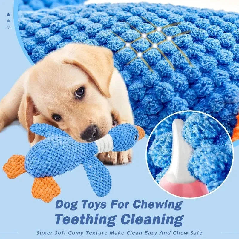 Indestructible Chew Squeak Toy