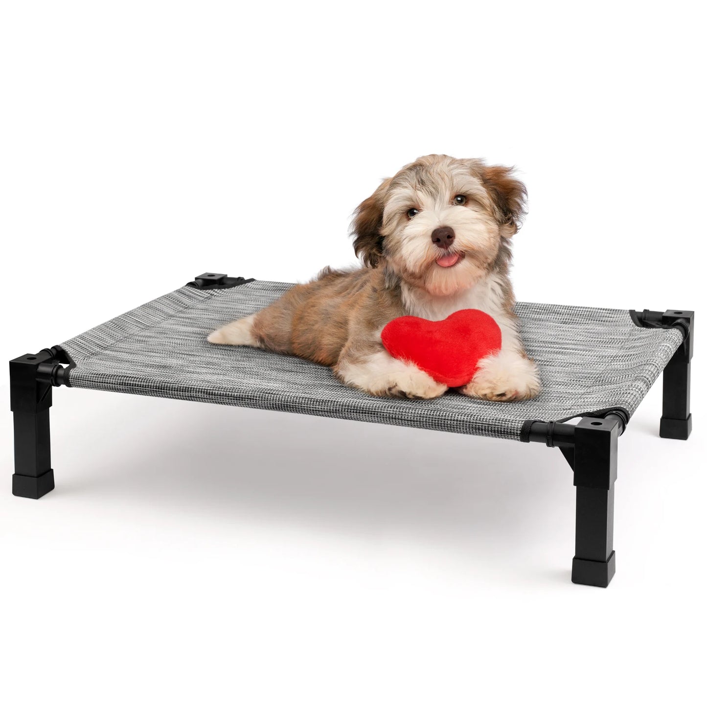 Elevated Pet Bed / 7 Colors and 4 Sizes