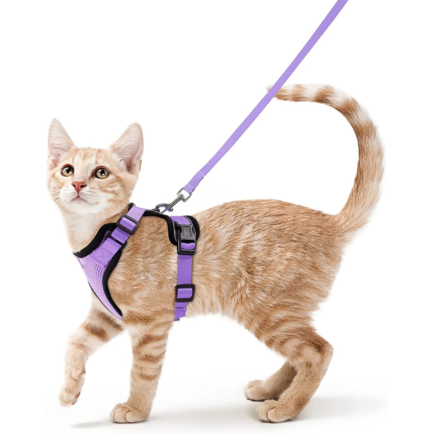 Escape Proof Cat Harness and Leash Set, Soft Adjustable Vest for Walking