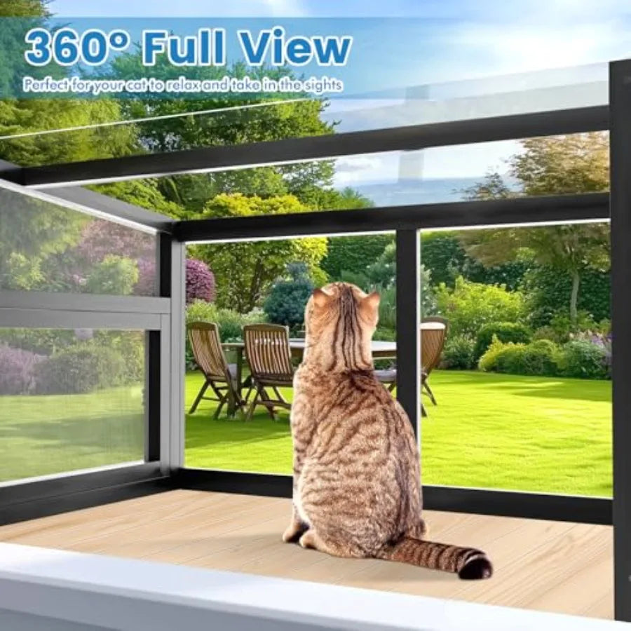 Cat Window Box