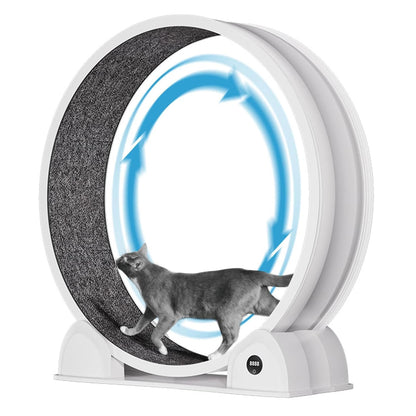 Cat Exercise Wheel for Indoor Cats, ABS, Quiet with Pedometer
