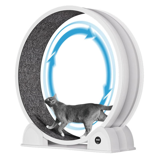 Cat Exercise Wheel for Indoor Cats, ABS, Quiet with Pedometer