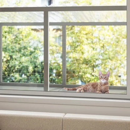 Creating a Cat Paradise: Integrating Outdoor Cat Enclosures Window Perches and Wall Furniture for the Ultimate Cat Patio Experience