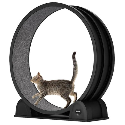 Cat Exercise Wheel for Indoor Cats, ABS, Quiet with Pedometer