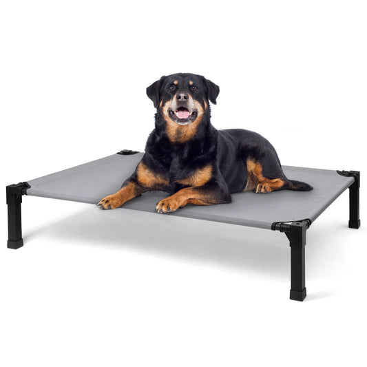 Elevated Pet Bed / 7 Colors and 4 Sizes