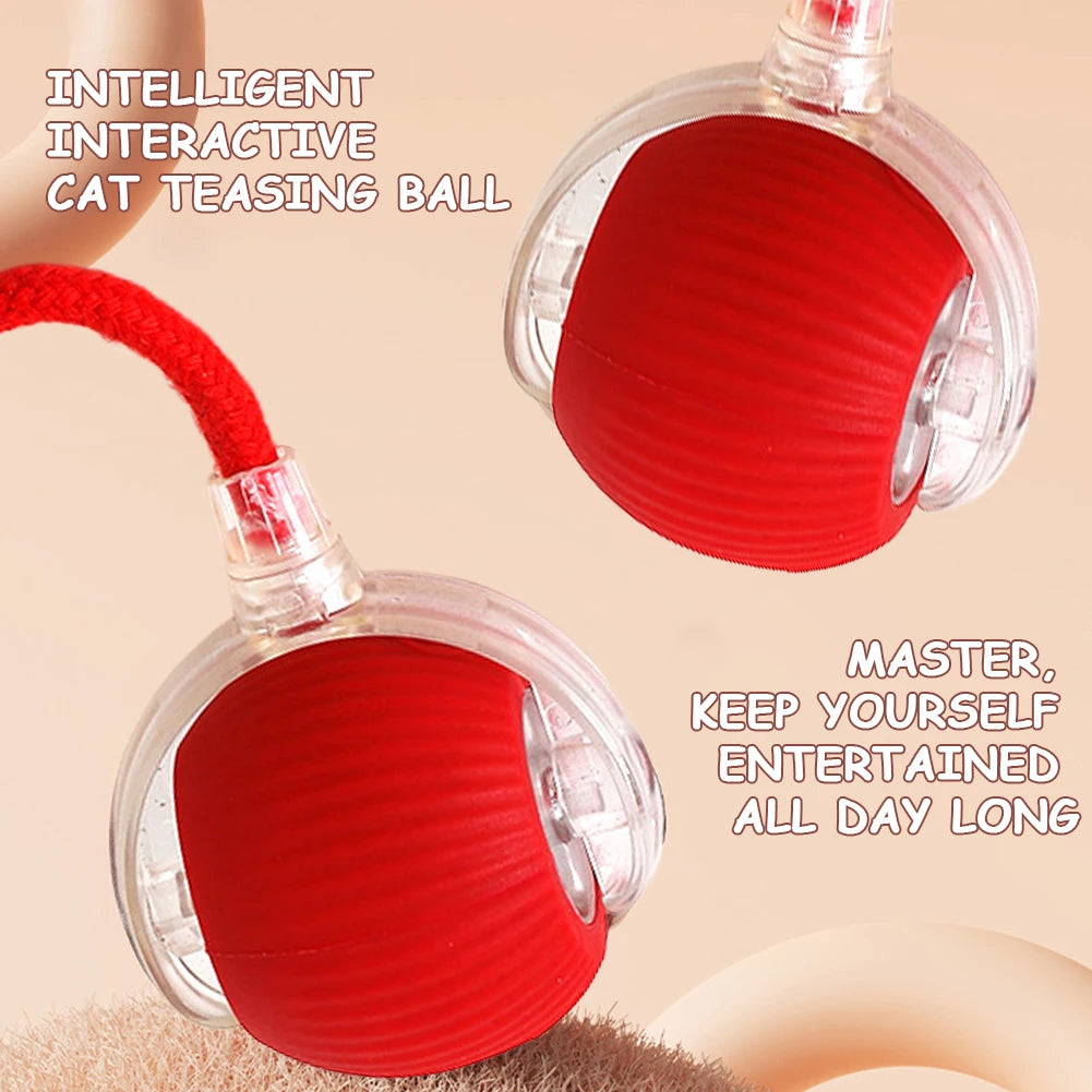 Cat Interactive Ball Toys Automatic Rolling Ball Rechargeable Self Rotating