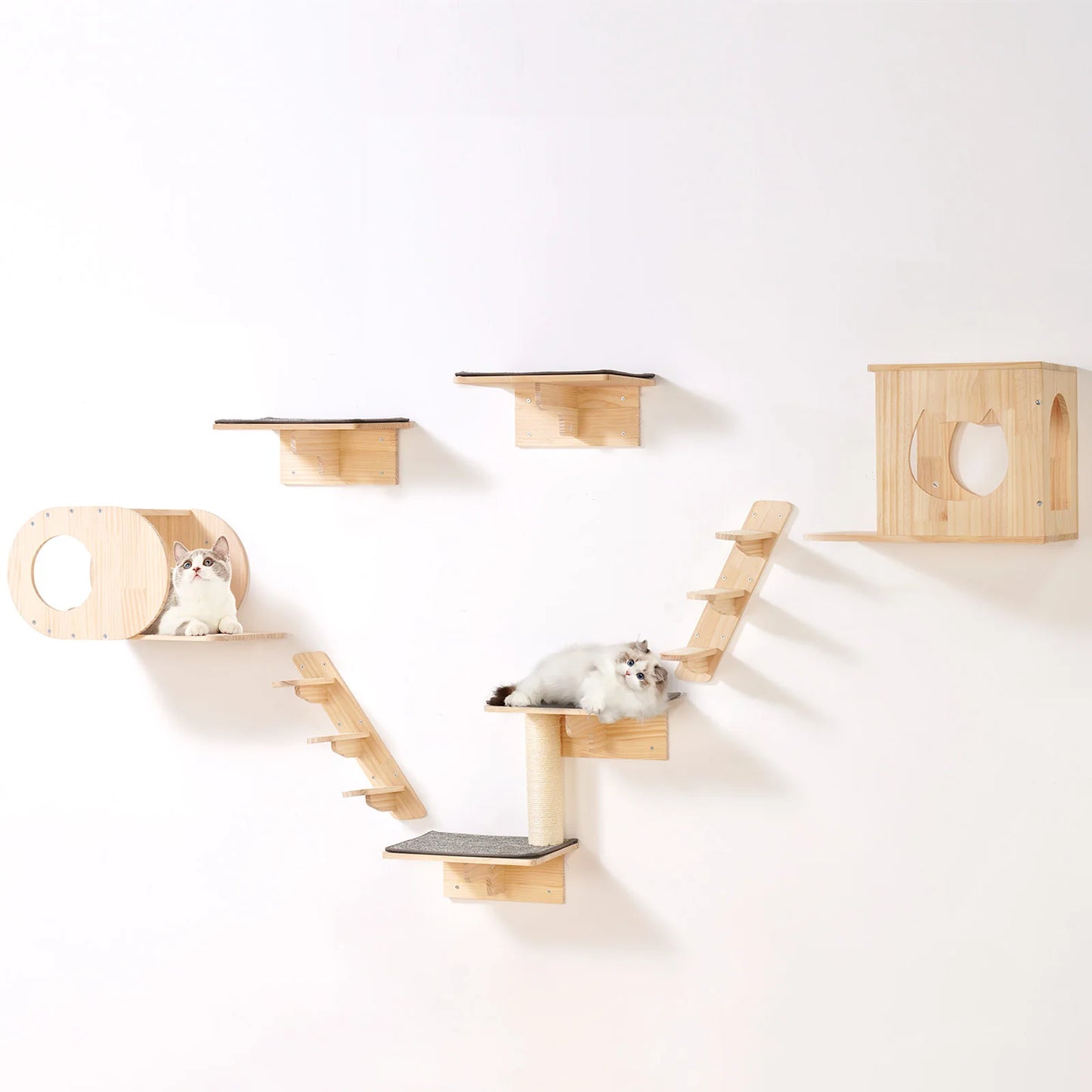 Wall Mounted Cat Shelves and Perches with Jumping Boards