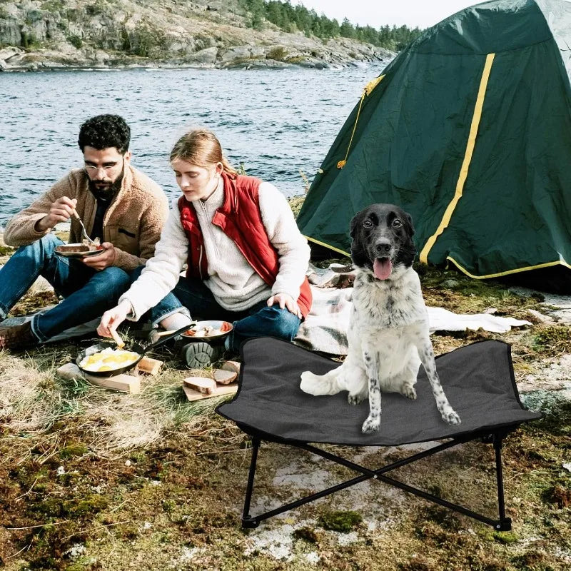 Elevated Dog Portable Cot, Folding, Padded comes with a Carrying Bag Included