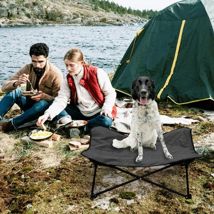 Elevated Dog Portable Cot, Folding, Padded comes with a Carrying Bag Included