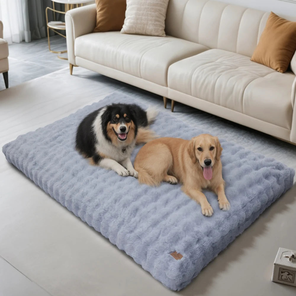 Ultra Plush Dog Bed Soft Pet Cushion with Washable Mat