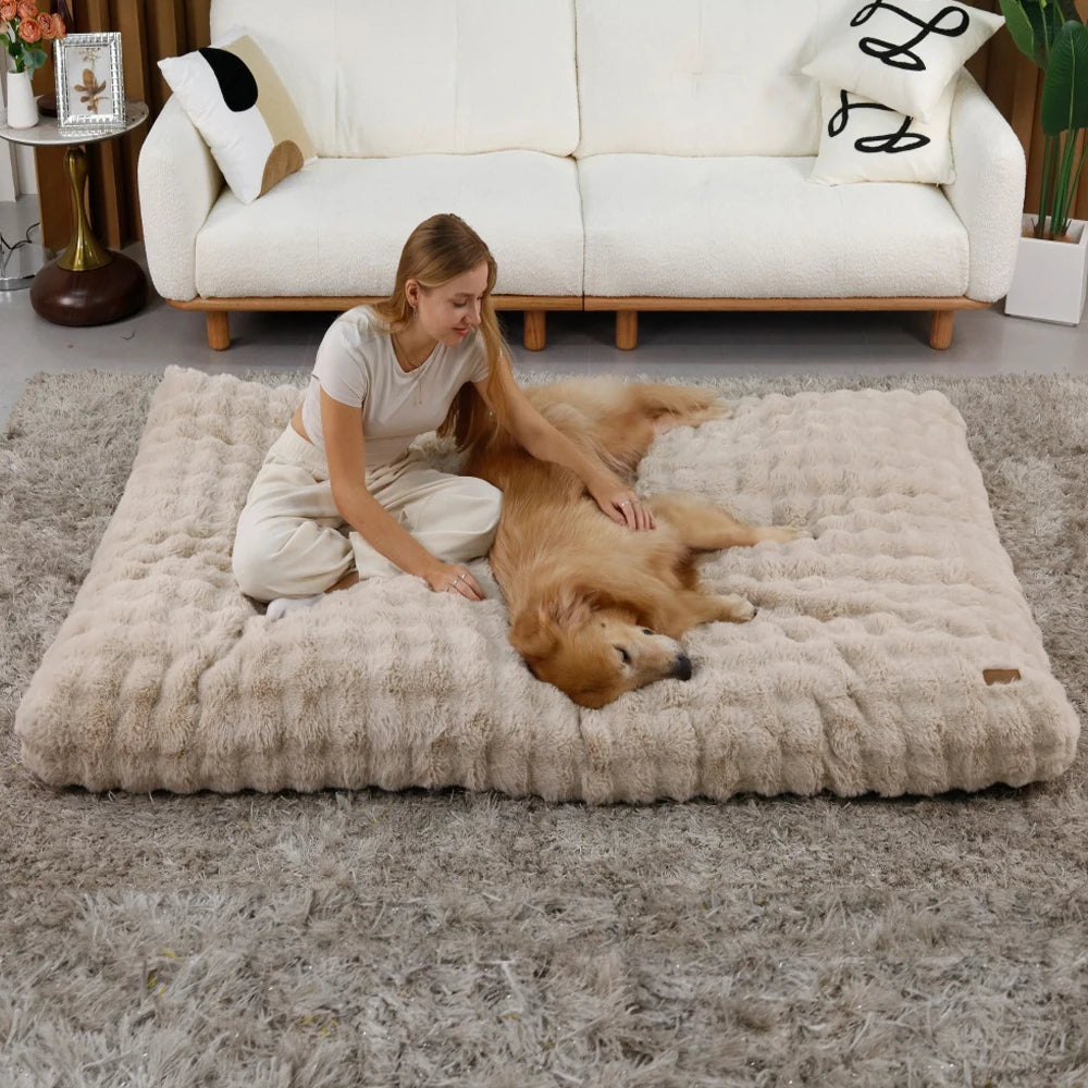 Ultra Plush Dog Bed Soft Pet Cushion with Washable Mat