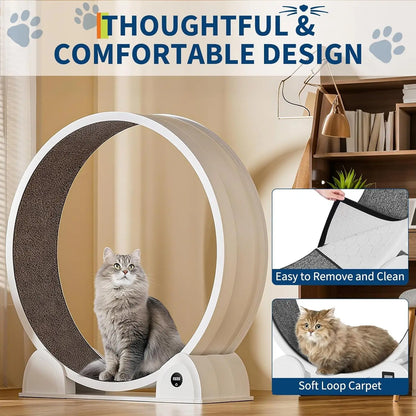 Cat Exercise Wheel for Indoor Cats, ABS, Quiet with Pedometer