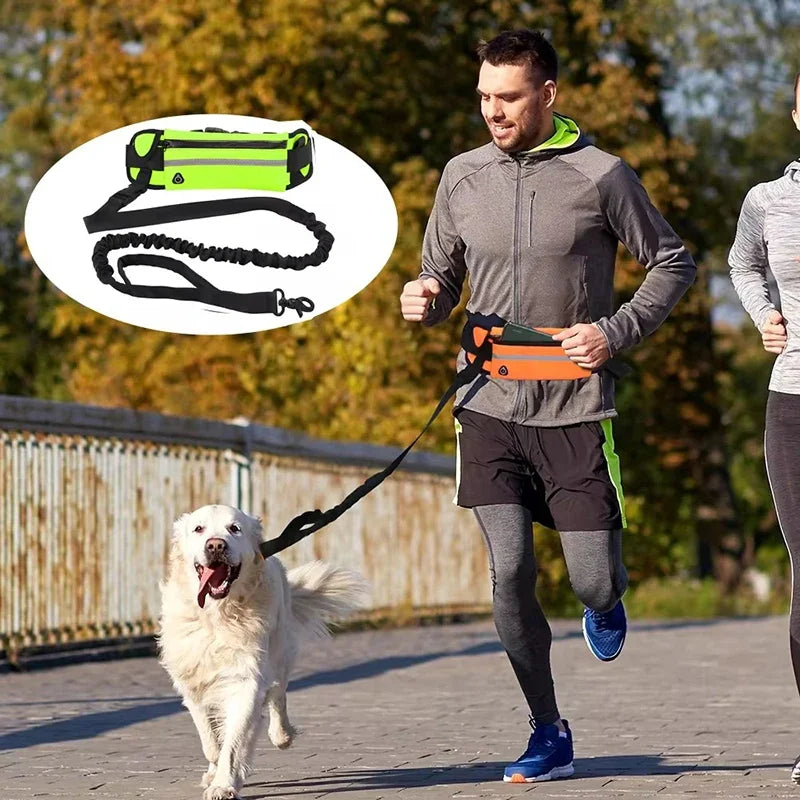 Hands Free Dog Leash for Running, Walking