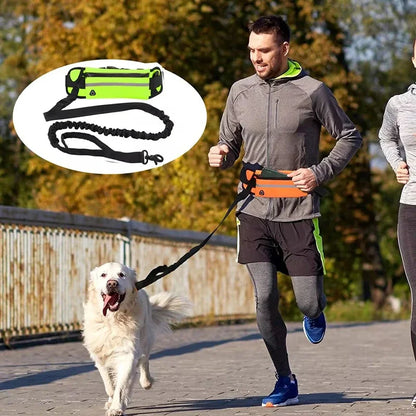 Hands Free Dog Leash for Running, Walking