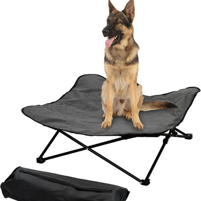 Elevated Dog Portable Cot, Folding, Padded comes with a Carrying Bag Included