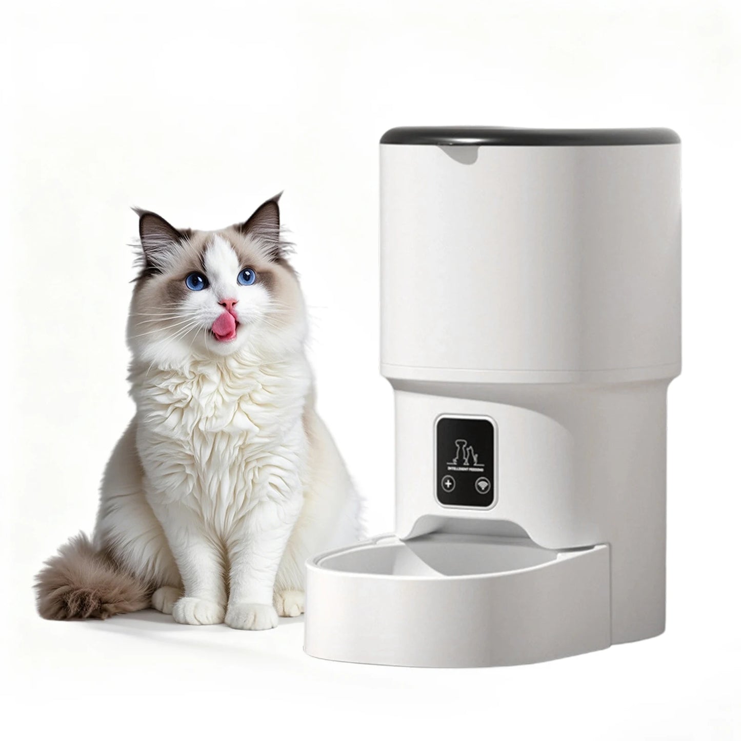 Programmable 4L Automatic Pet Feeder for Small Dogs & Cats, Up to 6 Meals Daily, Timer/Portion Control