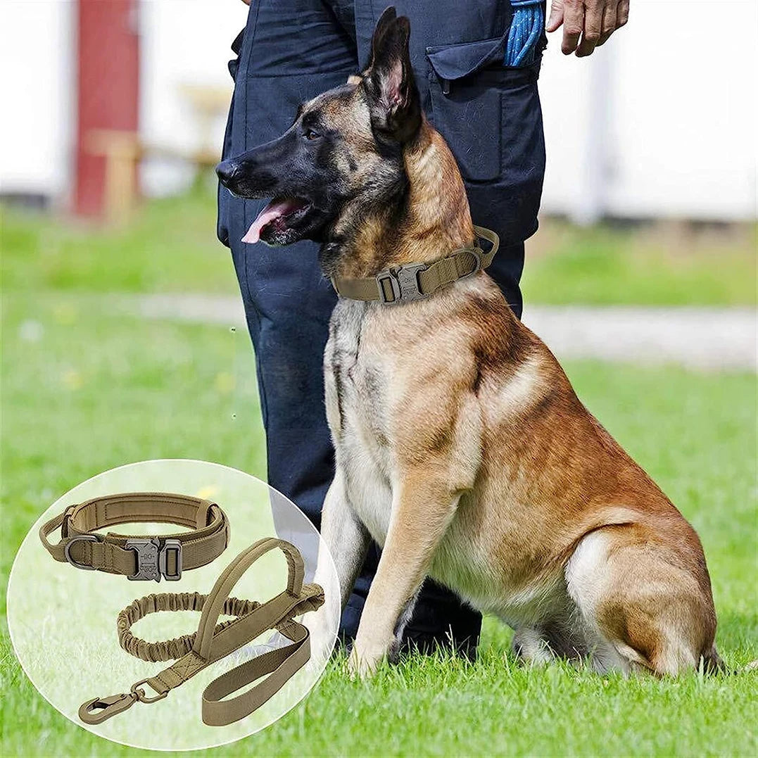 Tactical Dog Leash & Collar
