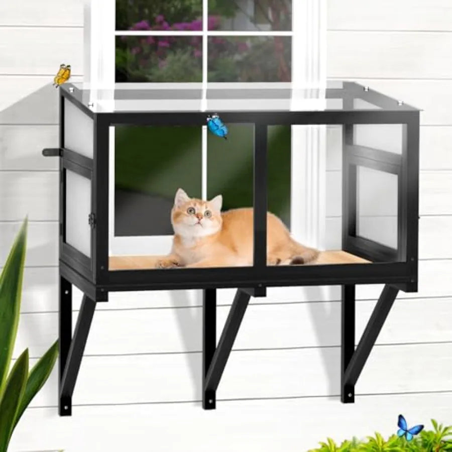 Cat Window Box