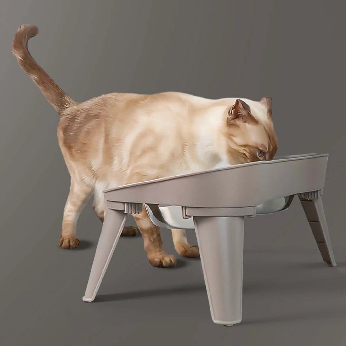 Raised Stand Elevated Dog Feeder Non-Slip and No Spill Design, Suitable for Improve Posture and Comfort